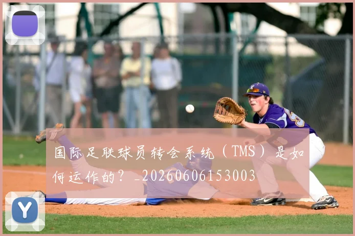 国际足联球员转会系统（TMS）是如何运作的？_20260606153003