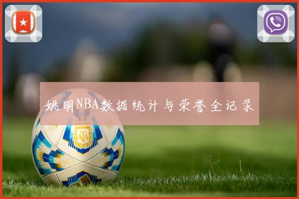 姚明NBA数据统计与荣誉全记录