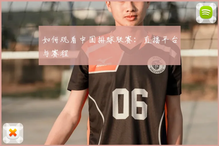 如何观看中国排球联赛：直播平台与赛程