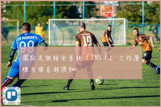 国际足联转会系统（TMS）：工作原理与俱乐部须知