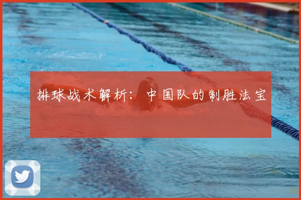 排球战术解析:中国队的制胜法宝