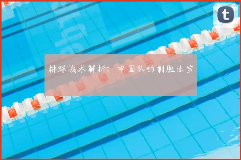 排球战术解析:中国队的制胜法宝