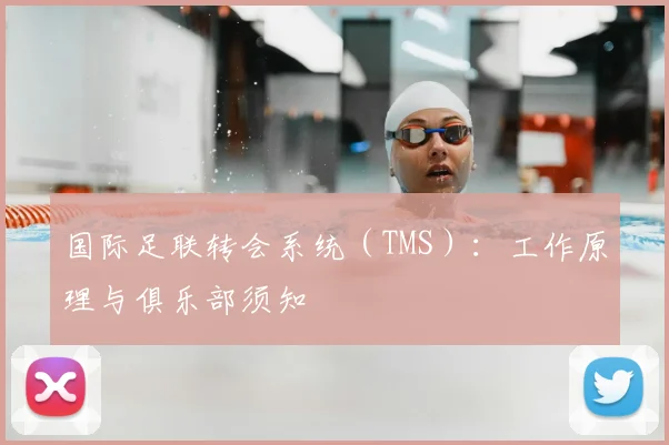 国际足联转会系统（TMS）：工作原理与俱乐部须知